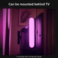 Philips Hue Play White & Color Smart Light Extension