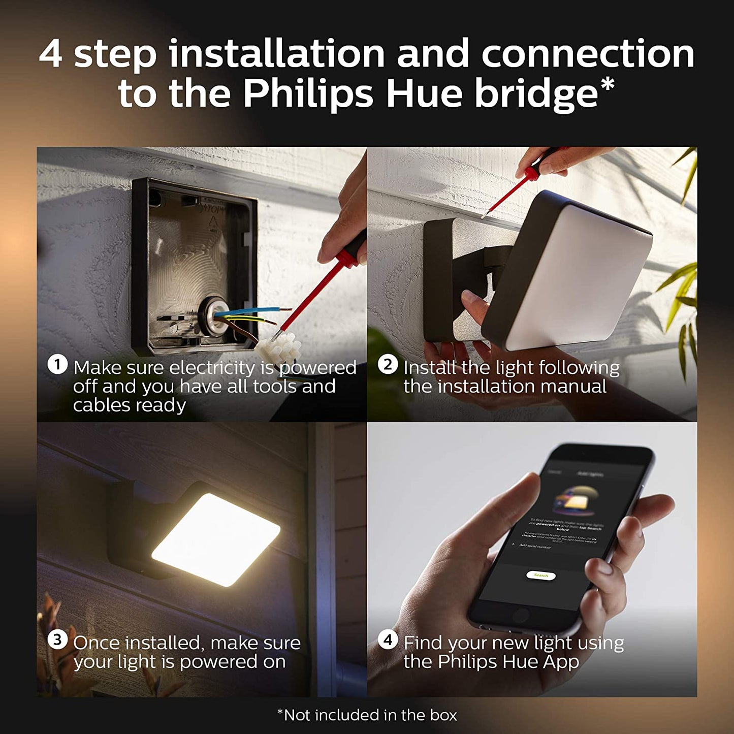 Philips Hue Outdoor Welcome Floodlight White for Smart Home