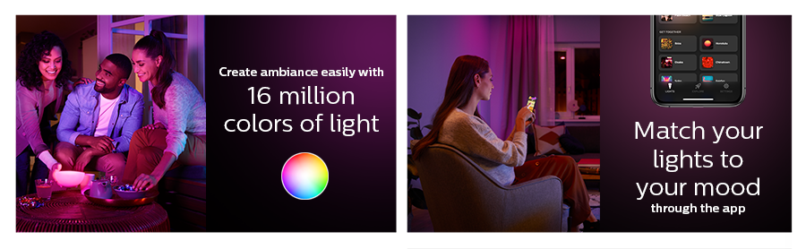 Philips Hue Go BLUETOOTH Portable Light White / Color Ambiance