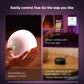 Philips Hue Go BLUETOOTH Portable Light White / Color Ambiance