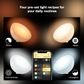 Philips Hue Go BLUETOOTH Portable Light White / Color Ambiance