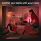 Philips Hue Play White & Color Smart Light, 2 Pack Base kit