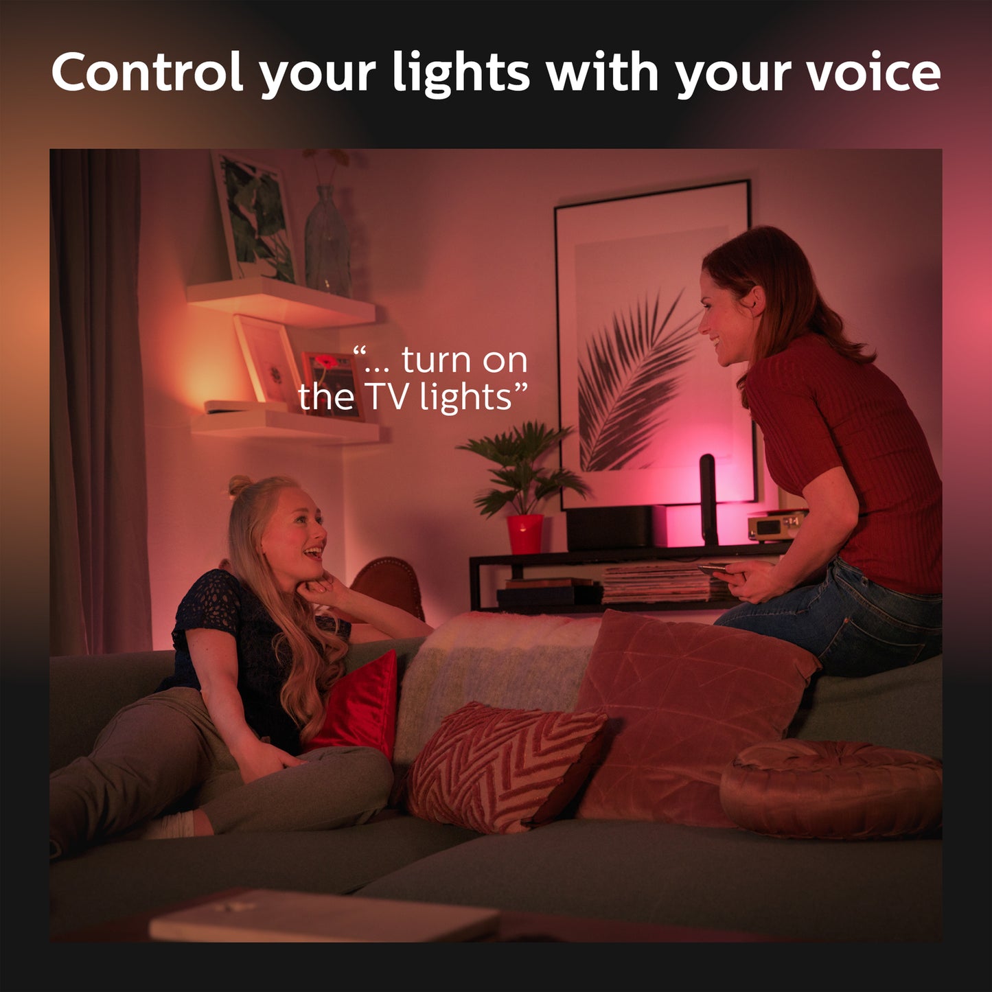 Philips Hue Play White & Color Smart Light Extension